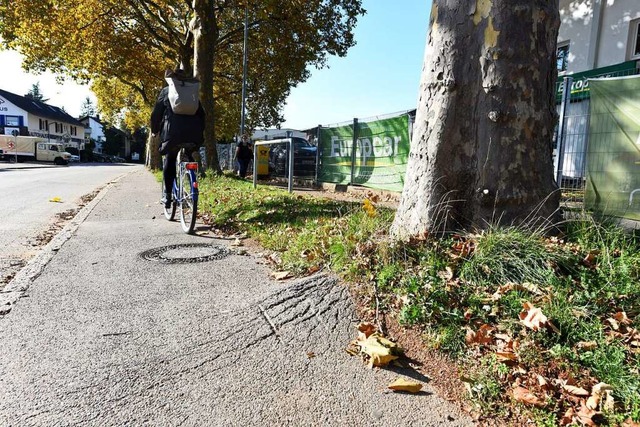 Auf manchem Freiburger Radweg ist noch eine Wurzelbehandlung ntig. Symbolbild.  | Foto: Rita Eggstein