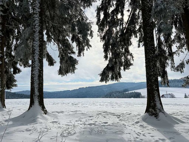 Winterlandschaft am Thurner  | Foto: Ulrike Mandt