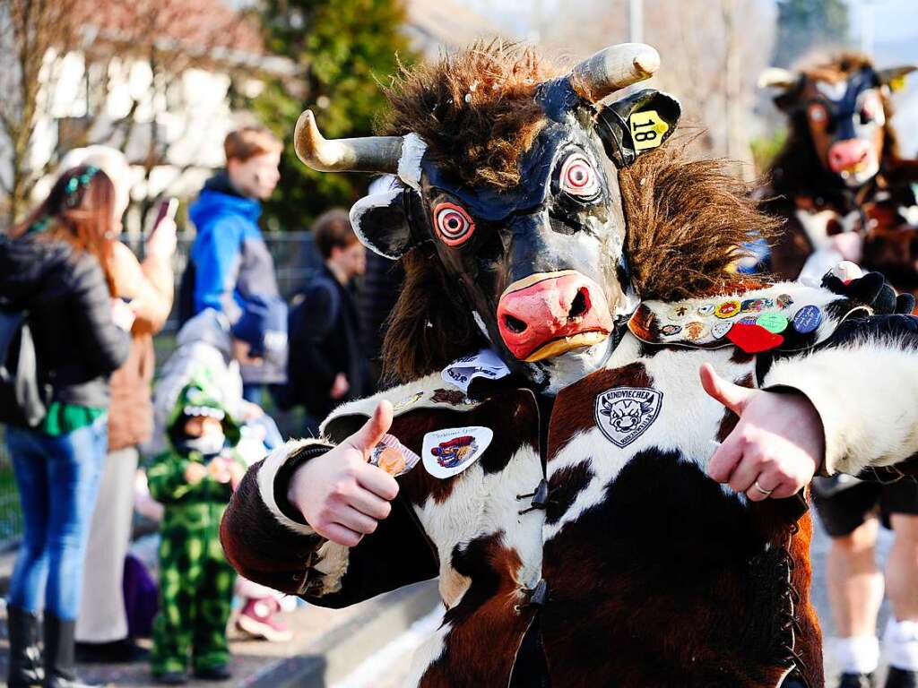 Viel bejubelt war der Fasnachtsumzug in Bad Krozingen.