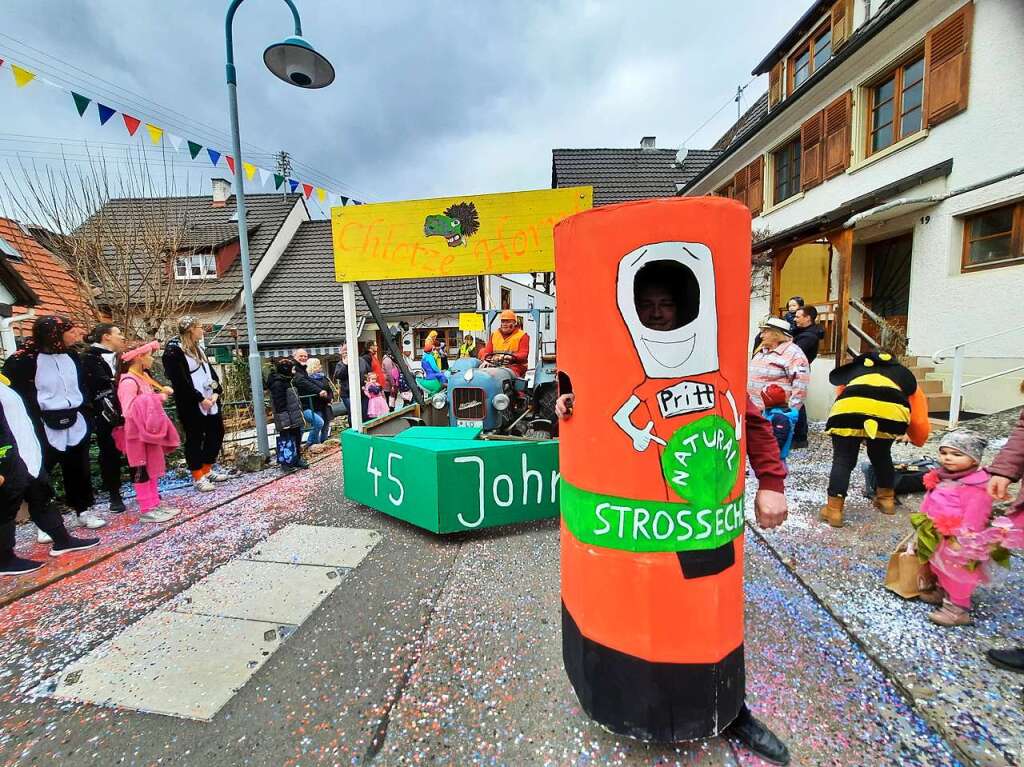 Eindrcke vom Fasnachtsumzug in Istein