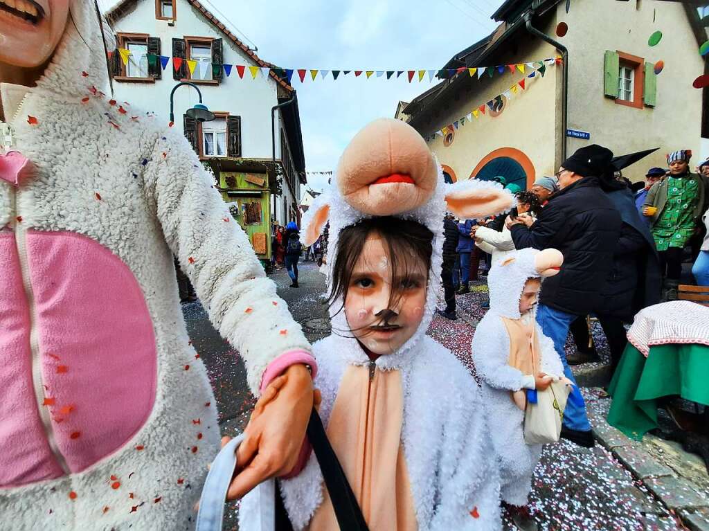 Eindrcke vom Fasnachtsumzug in Istein