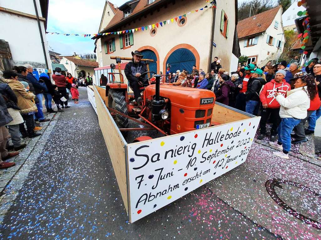 Eindrcke vom Fasnachtsumzug in Istein