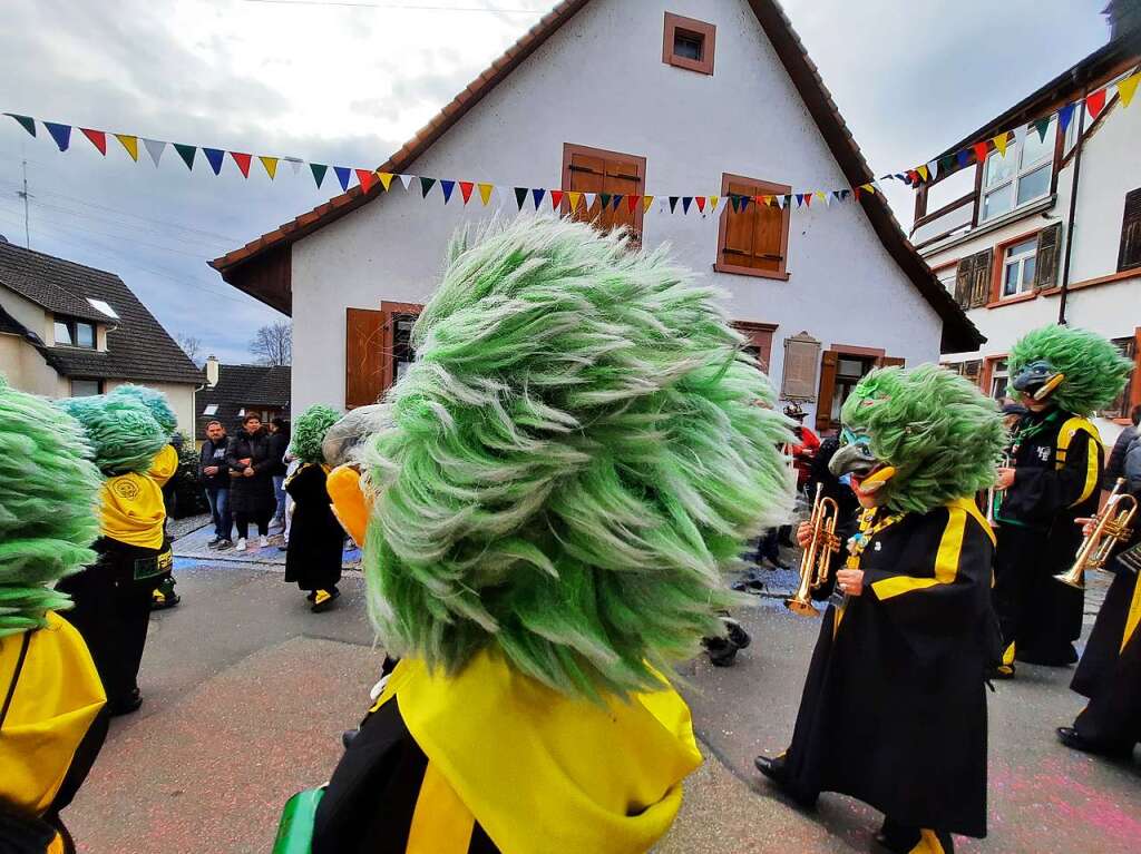 Eindrcke vom Fasnachtsumzug in Istein