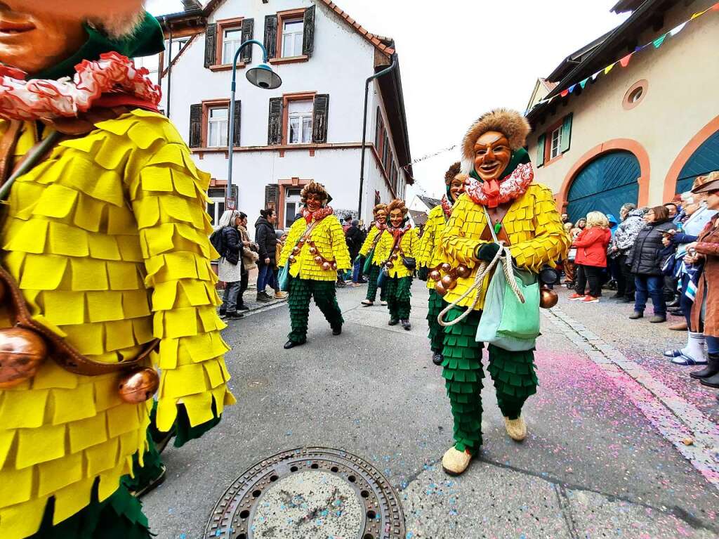 Eindrcke vom Fasnachtsumzug in Istein