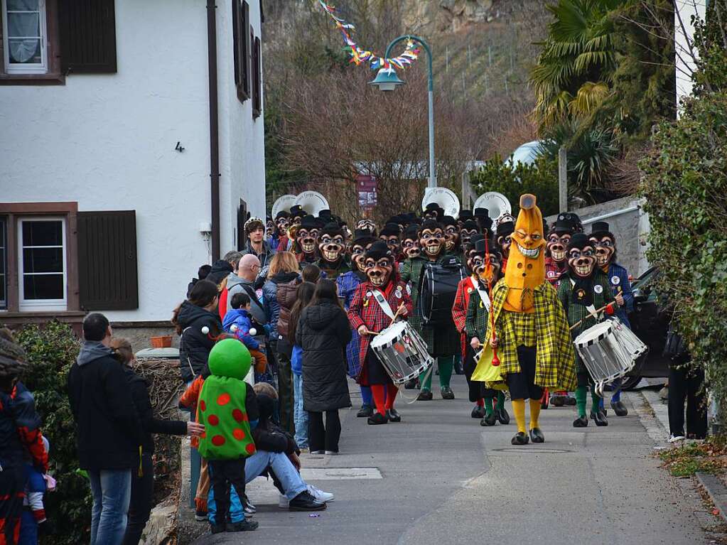 Eindrcke vom Fasnachtsumzug in Istein