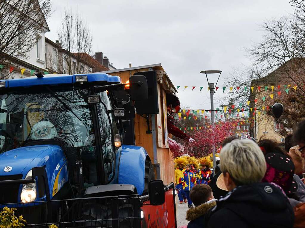 Eindrcke vom Fasnachtsumzug in Rheinfelden