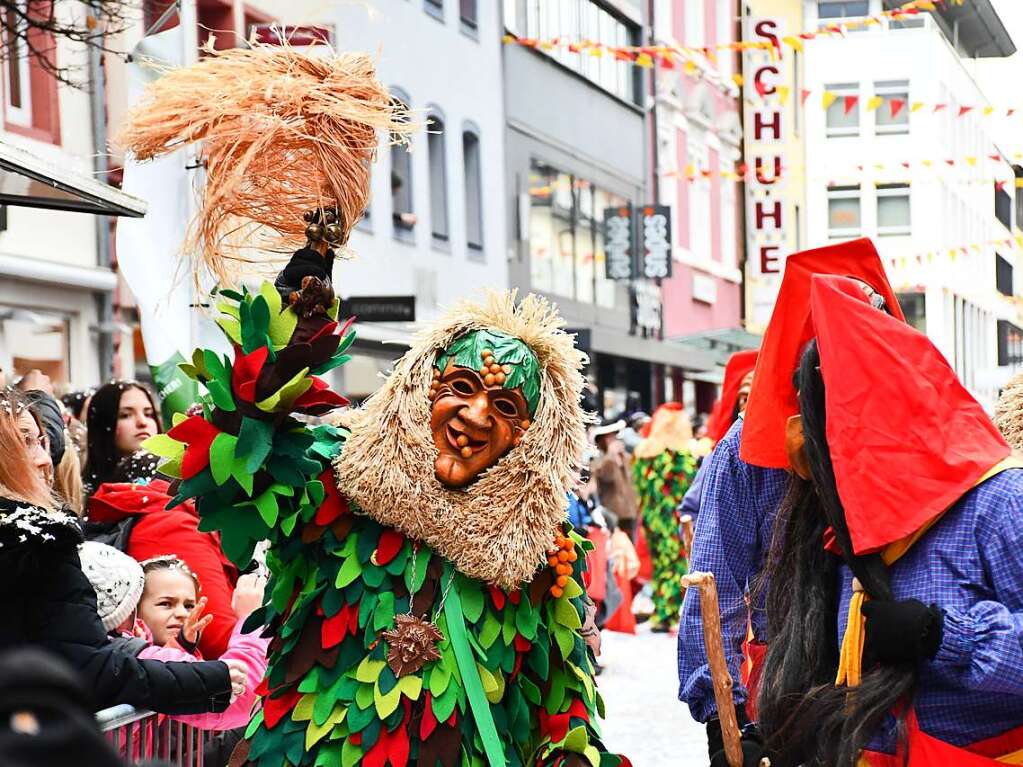 Eindrcke vom groen Fasnachtsumzug in Lrrach