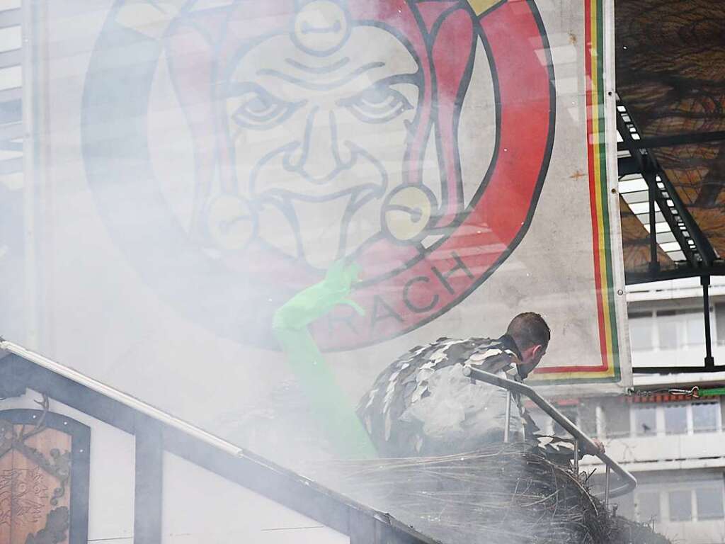 Eindrcke vom groen Fasnachtsumzug in Lrrach