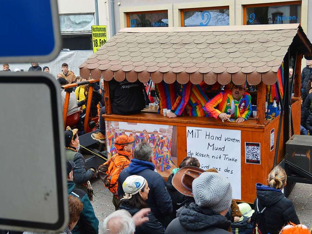 Eindrcke vom Fasnachtsumzug in Schopfheim