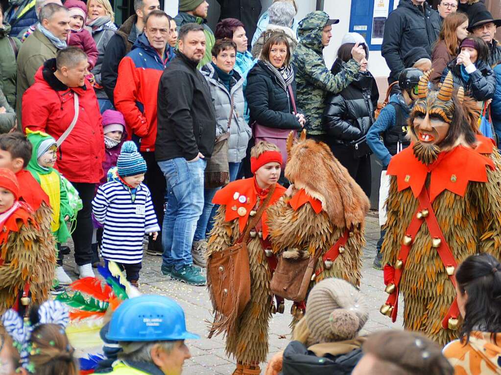 Eindrcke vom Fasnachtsumzug in Schopfheim