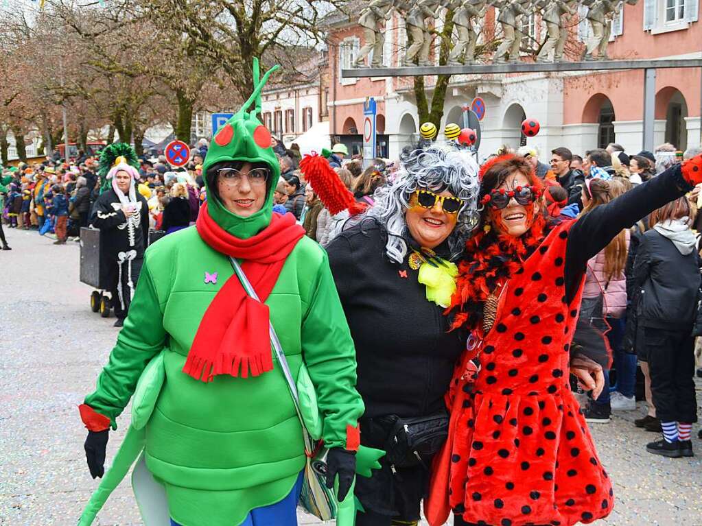 Eindrcke vom Fasnachtsumzug in Schopfheim