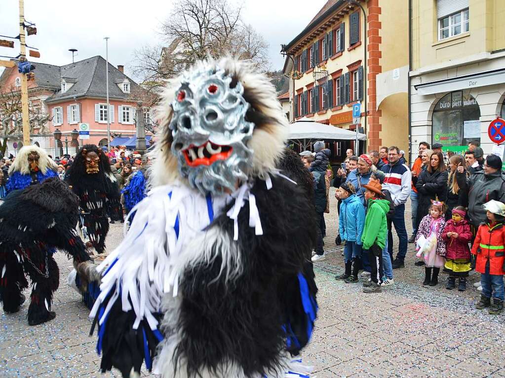 Eindrcke vom Fasnachtsumzug in Schopfheim