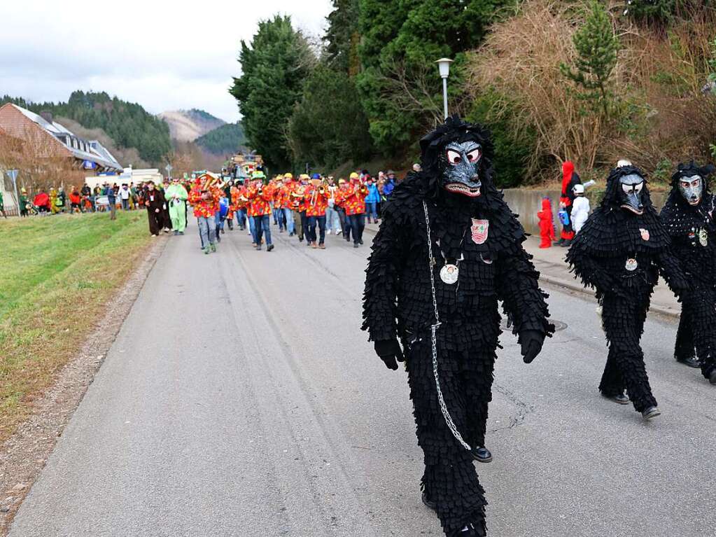 Impressionen vom Umzug am Fasnachtssamstag in Buchenbach