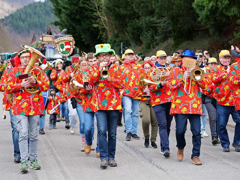 Impressionen vom Umzug am Fasnachtssamstag in Buchenbach