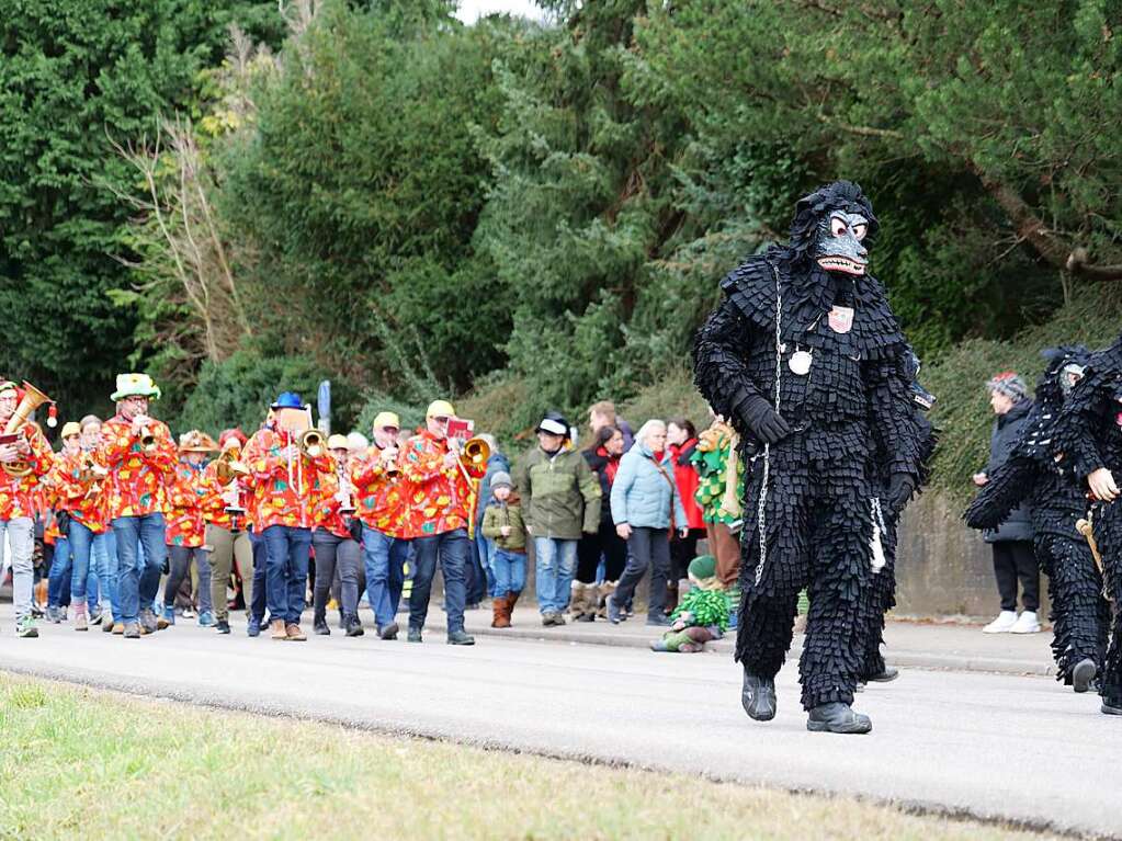 Impressionen vom Umzug am Fasnachtssamstag in Buchenbach