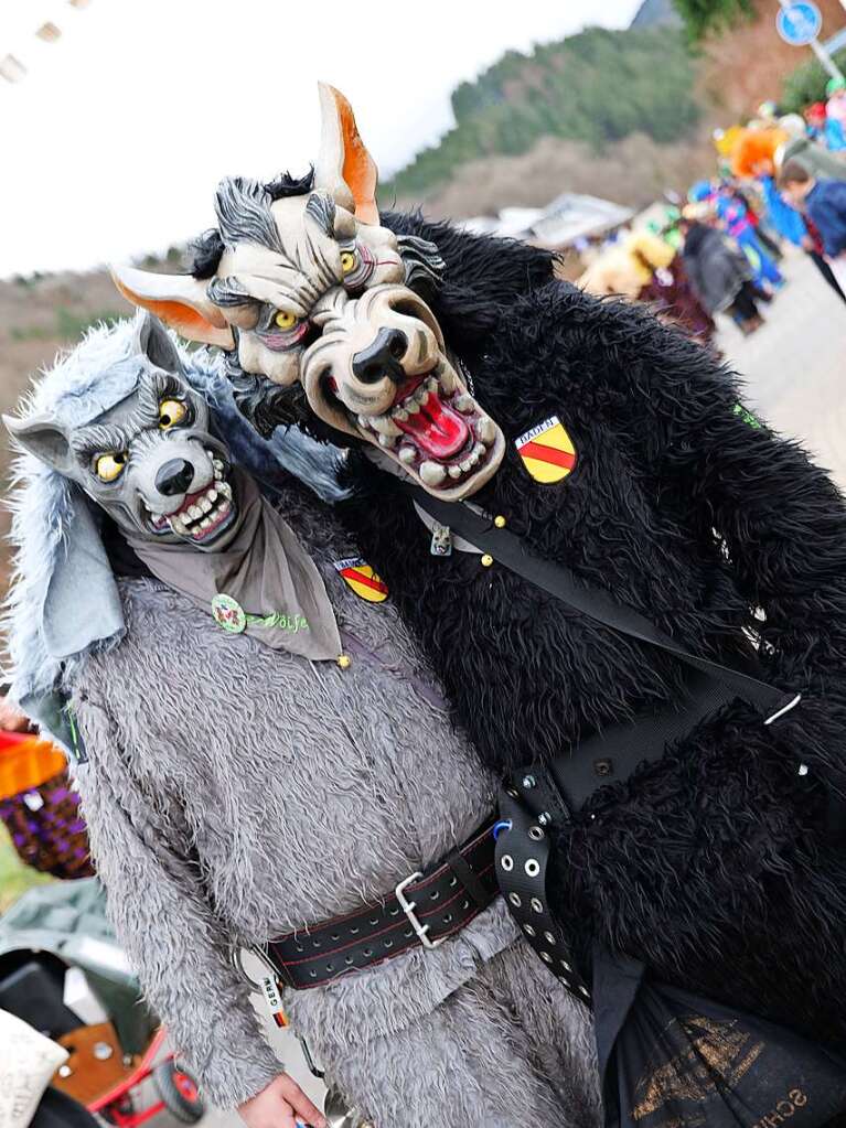 Impressionen vom Umzug am Fasnachtssamstag in Buchenbach