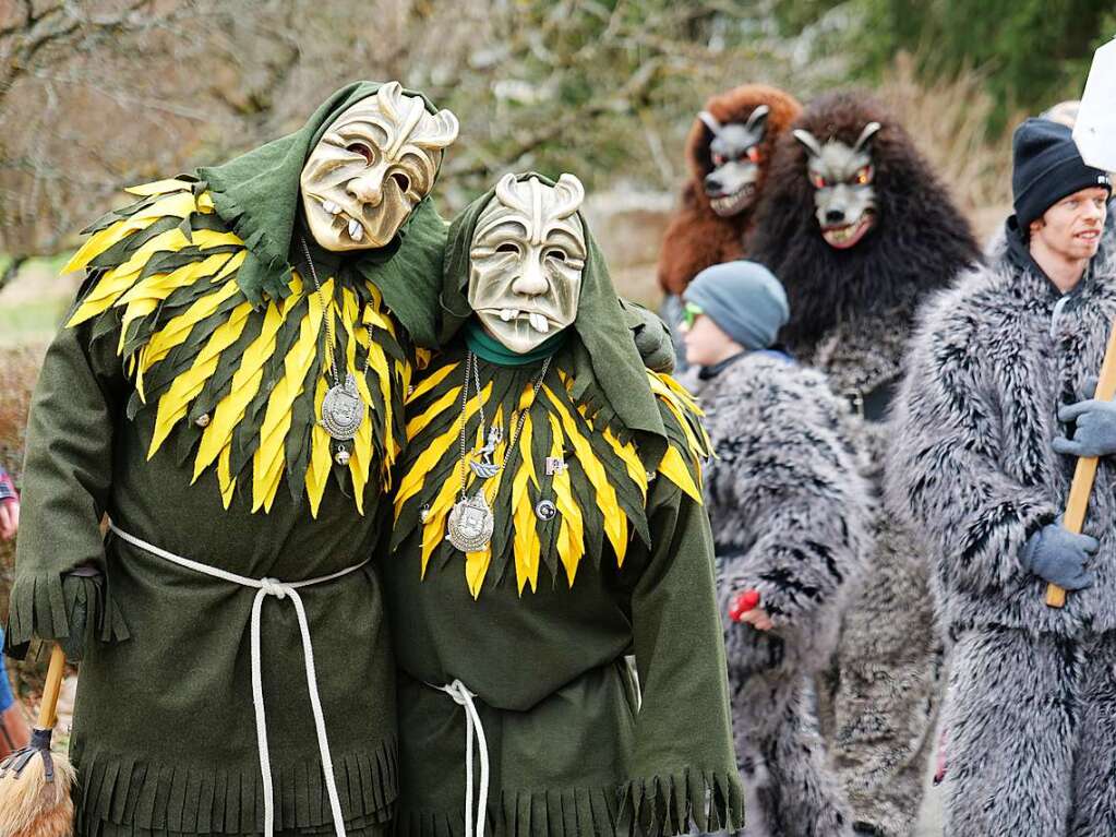 Impressionen vom Umzug am Fasnachtssamstag in Buchenbach