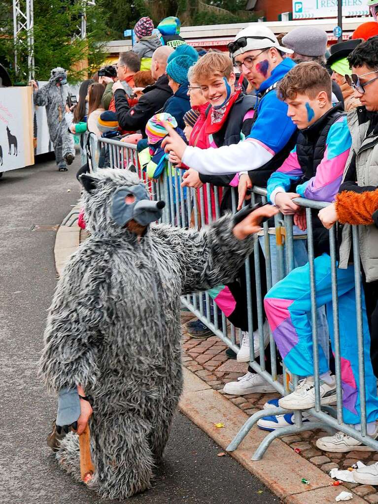 Ein Wolf der Feldberger Krabbelgruppe