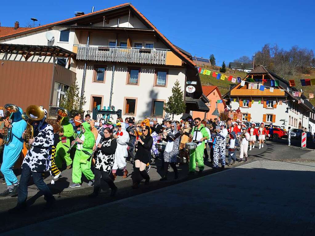 Der Rosenmontagsumzug in Hg-Ehrsberg