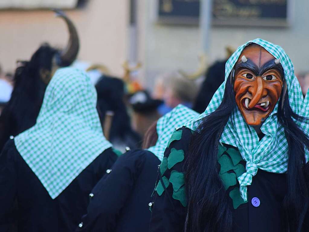 Impressionen vom Fasnachtsmndigumzug in Bad Sckingen