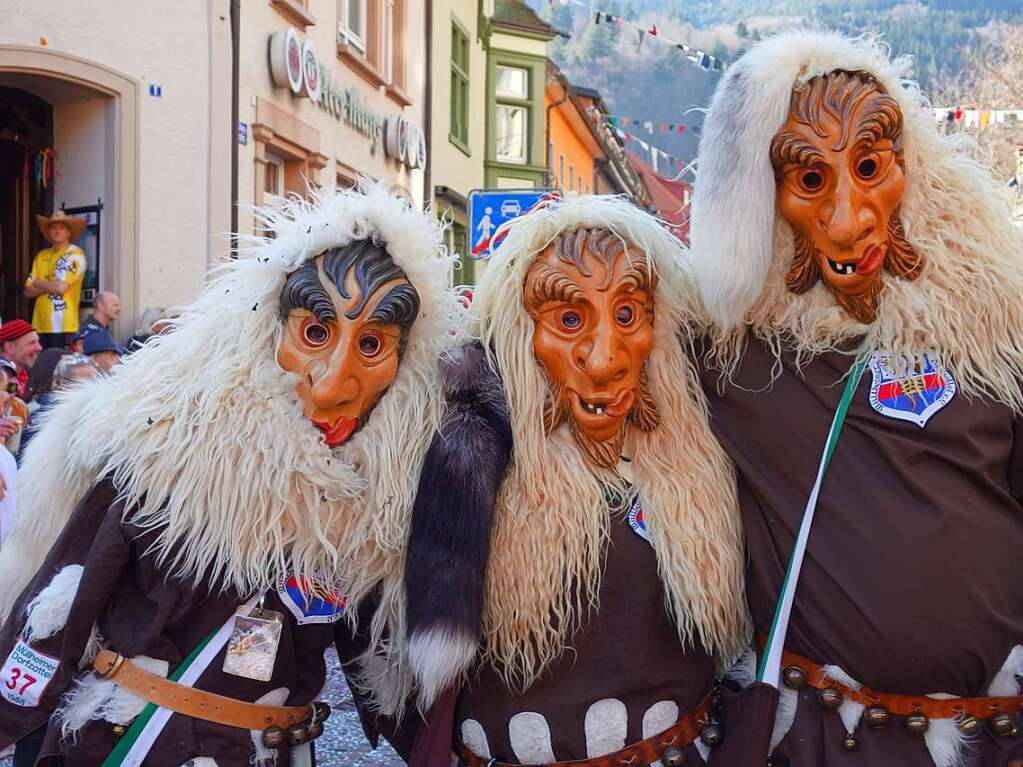 Der Rosenmontagsumzug in Todtnau