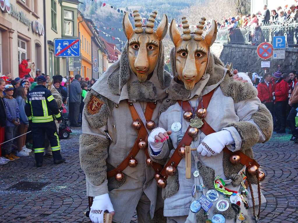 Der Rosenmontagsumzug in Todtnau