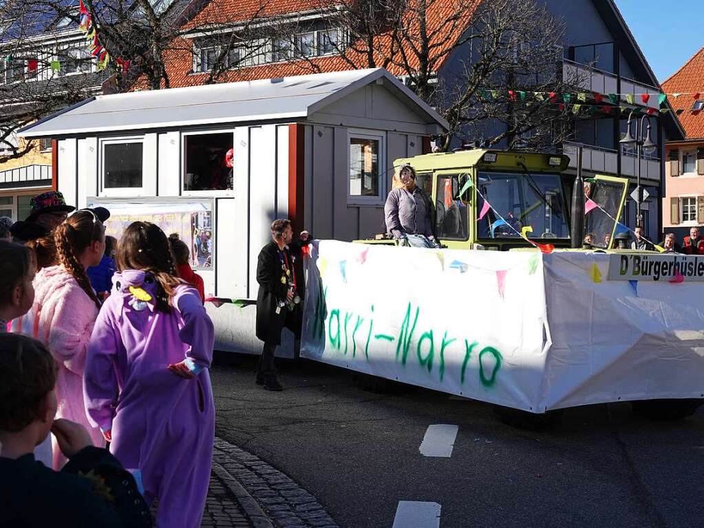 Viele Besucher kamen zum Umzug nach Grwihl.