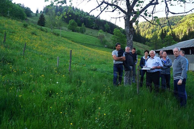 Am Brhl sollen sieben Gebude entstehen (Archivbild)  | Foto: Verena Wehrle