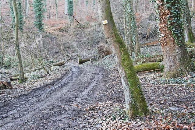Viele Waldstücke um Endingen sind in Privatbesitz – eine Herausforderung für den Förster