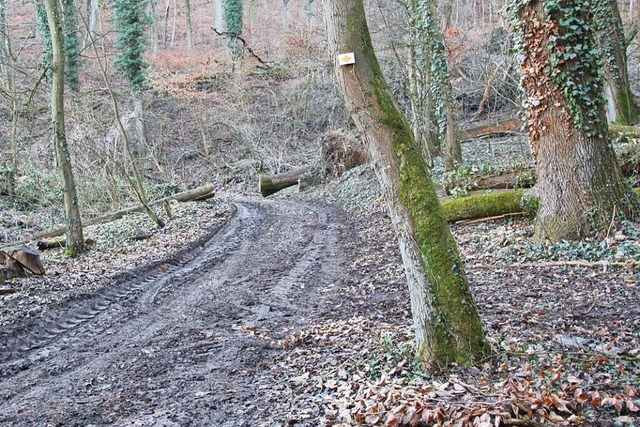 Der Zustand der Wege nach dem Holzmach...aut dem Endinger Frster  ausreichend.  | Foto: Christiane Franz