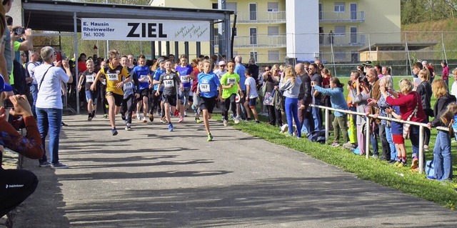 Beim Jugendlauf des Rheinauenlaufs ms...er 2,7 Kilometer Strecke zurcklegen.   | Foto: Jutta Schtz