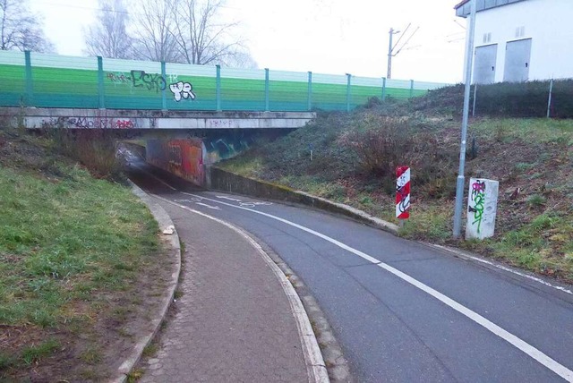 Auch die Unterfhrung Lindenweg wurde von den Planern besichtigt.  | Foto: Sylvia-Karina Jahn