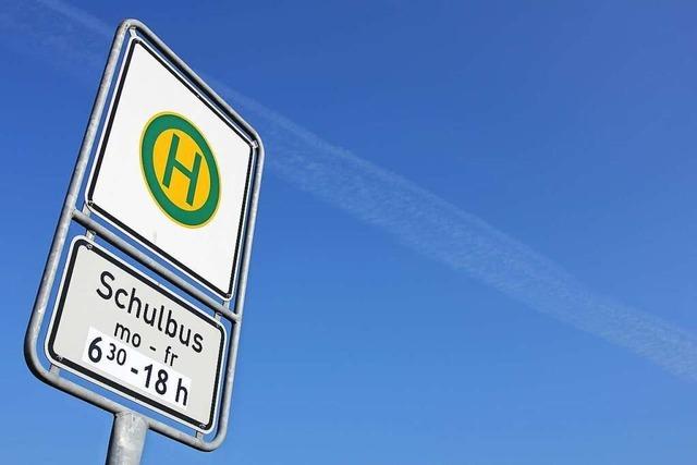 Bürgerbus Oberschopfheim: Einsteigen bitte!