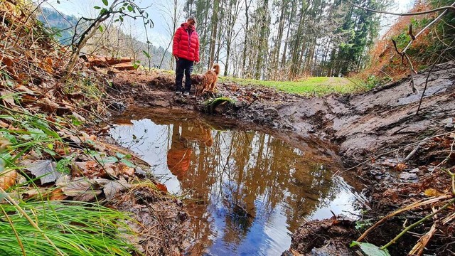 In vorbildlicher Zusammenarbeit mit de...Feuchtgebiete im Wald angelegt werden.  | Foto: Gerald Nill