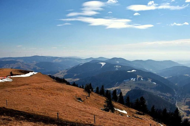 Sonne satt, aber kein Schnee: Selbst a...lchen blieb der Winter weitgehend aus.  | Foto: Picasa