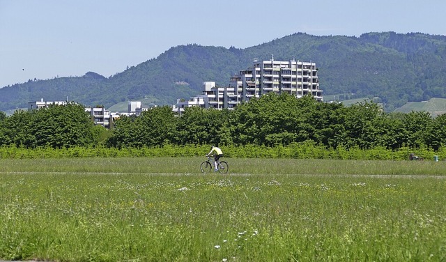 Mehr als 36 Hektar will die Stadt mit ...zu einem weiteren Gewerbepark machen.   | Foto: Ralf Burgmaier