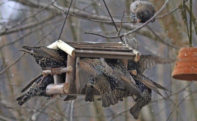   | Foto: Friedbert Zapf