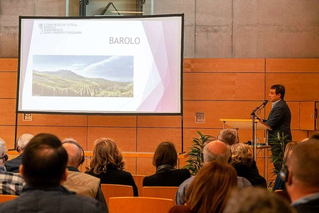 Nebel gibt es noch im Nebbiolo-Anbauge...iederschlag, erluterte Matteo Ellena.  | Foto: Volker Mnch