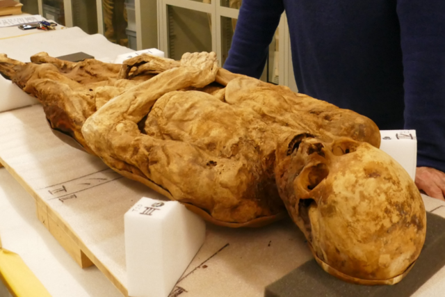 Das Geheimnis der Basler Mumie