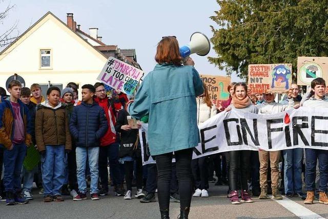 Fotos: Fridays for Future organisiert globalen Klimastreik in Bad Sckingen