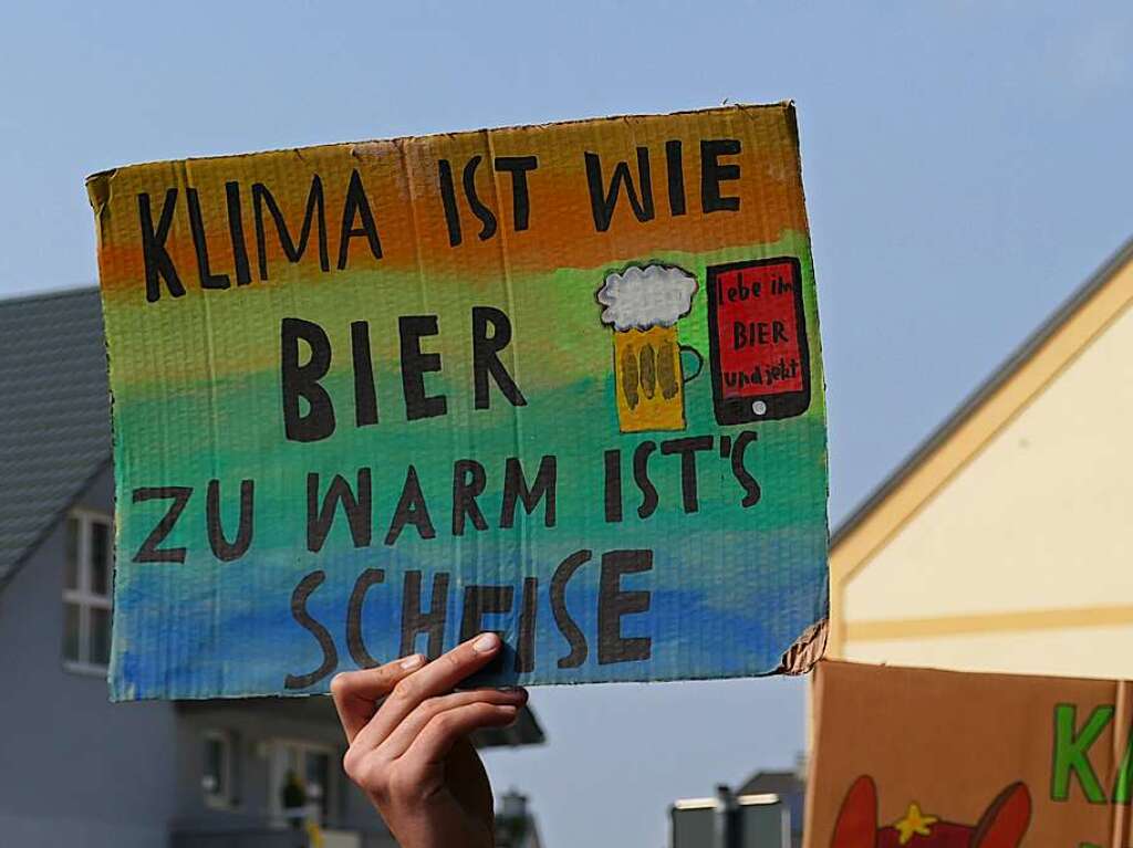 Mehr als 200 Menschen demonstrierten am Freitag fr den Klimaschutz in Bad Sckingen.