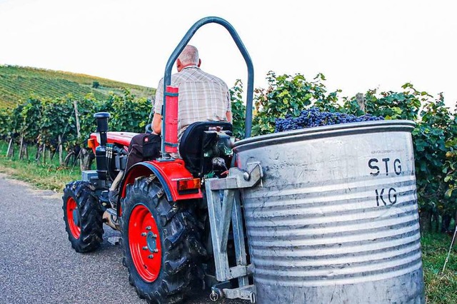 Schmalspurschlepper werden im Weinbau eingesetzt (Symbolbild).  | Foto: Hubert Gemmert