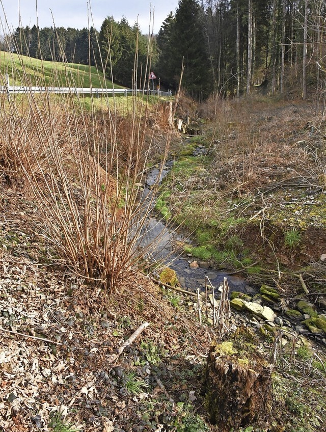 An der Kreisstrae 5113 Richtung Sgpl... verlegt und die Bschung abgeflacht.   | Foto: Benedikt Sommer