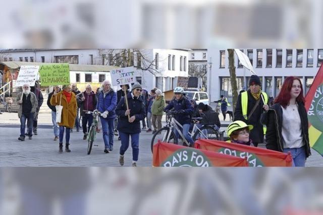 Fridays for Future demonstriert in Lahr