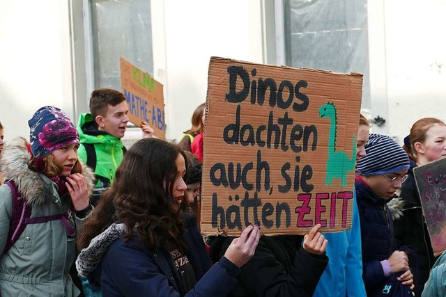 Demonstranten von Fridays for Future in Bad Sckingen  | Foto: David Pister