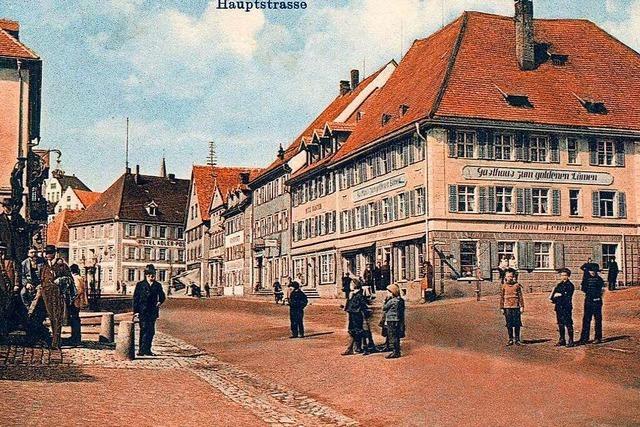 Wie Historiker Roland Weis auf neue historische Huser in Neustadt kommt