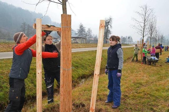 Der Verein Plant-for-the-Planet Wiesental hat 21 Bäume in Schopfheim gepflanzt