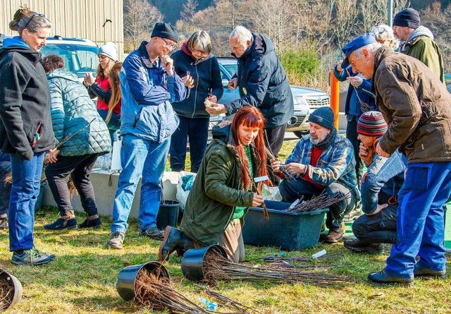 Der Veredelungstag in Schnau stie auf groes Interesse.   | Foto: Paul Eischet