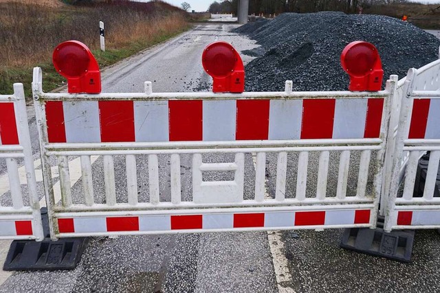 Der Kanton Basel, IWB und DVD erneuern...inallee/Grenzacherstrae (Symbolbild).  | Foto: Marcus Brandt (dpa)