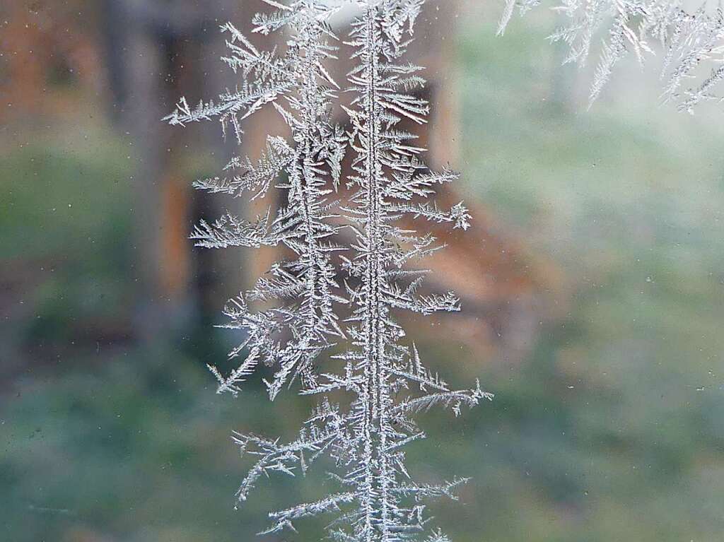 Bizarre Eiskristalle bilden sich am Fenster.